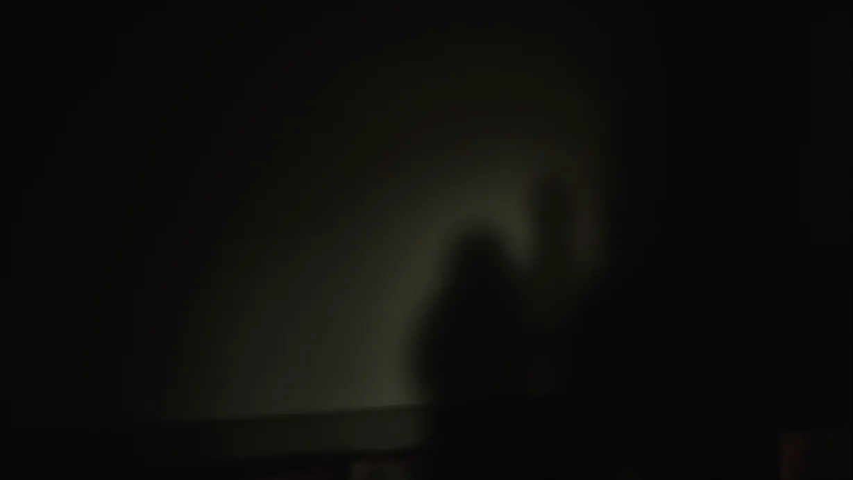 Image a balanced composition image of ,A dimly lit room, shadows dance across the walls. A sense of secrecy hangs in the air, emphasizing the hidden nature of the relationships.,interior,in the night