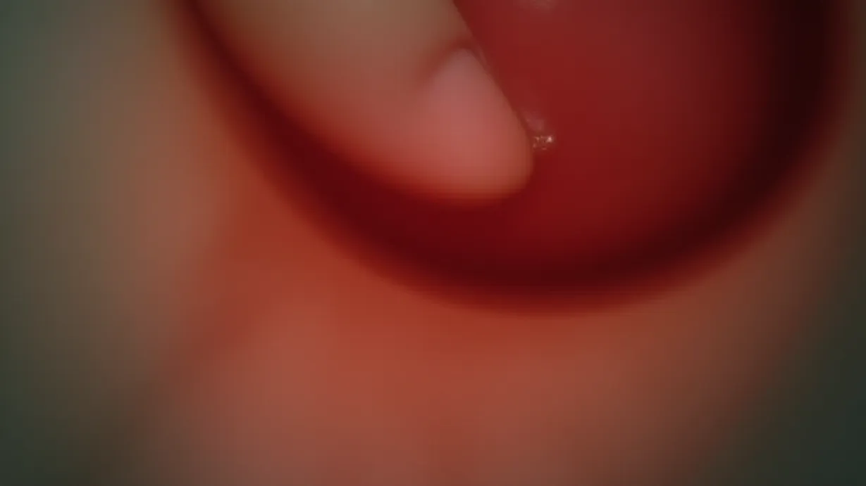 Image a center composition image of ,A close-up of a vagina, with a finger moving in and out of it. The vagina is slightly glistening.,interior,in the day
