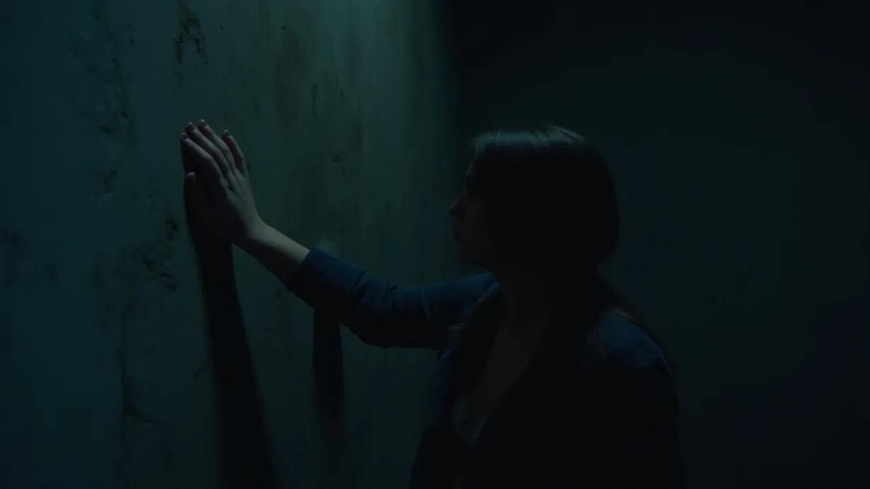 Image a balanced composition image of ,A young woman, with a determined expression, runs her hands along the cold, rough wall. She is in a dark space, the chilling mist swirling around her. Whispers echo in the background. (Medium shot),interior,in the night