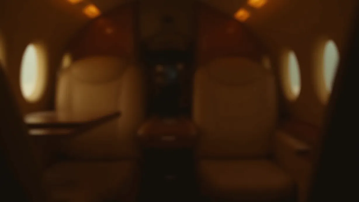 The Billionaire Rebirth