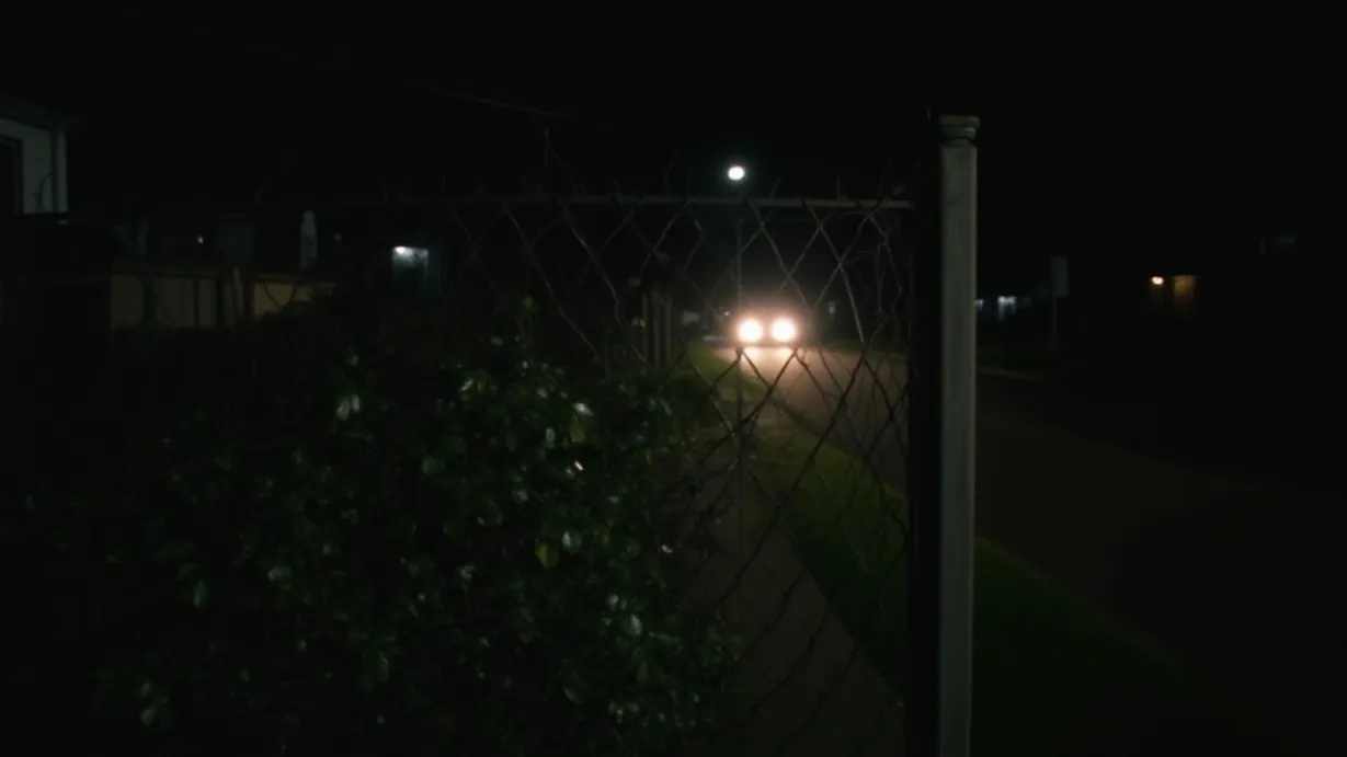 The Shadow In The Night
